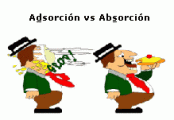 adsorción vs absorción